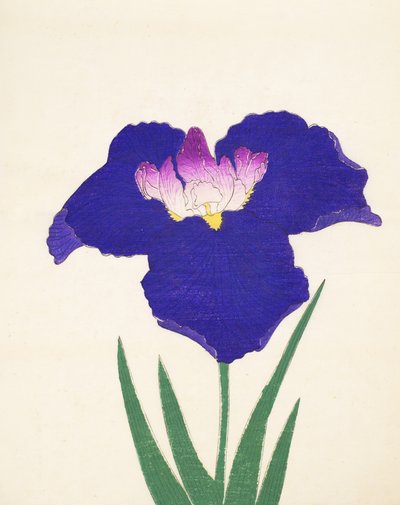 Yedo-Jiman, No. 36 by Japanese School